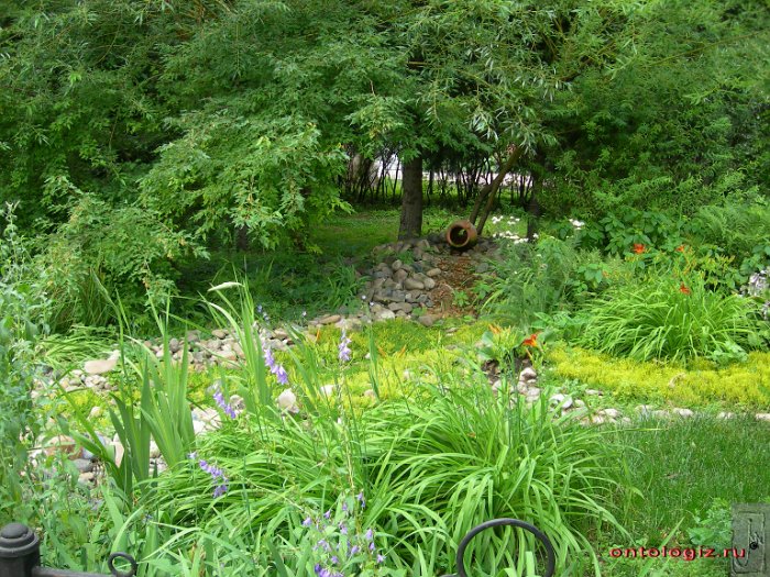 park (1)